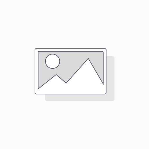 [8037] clear trans grey